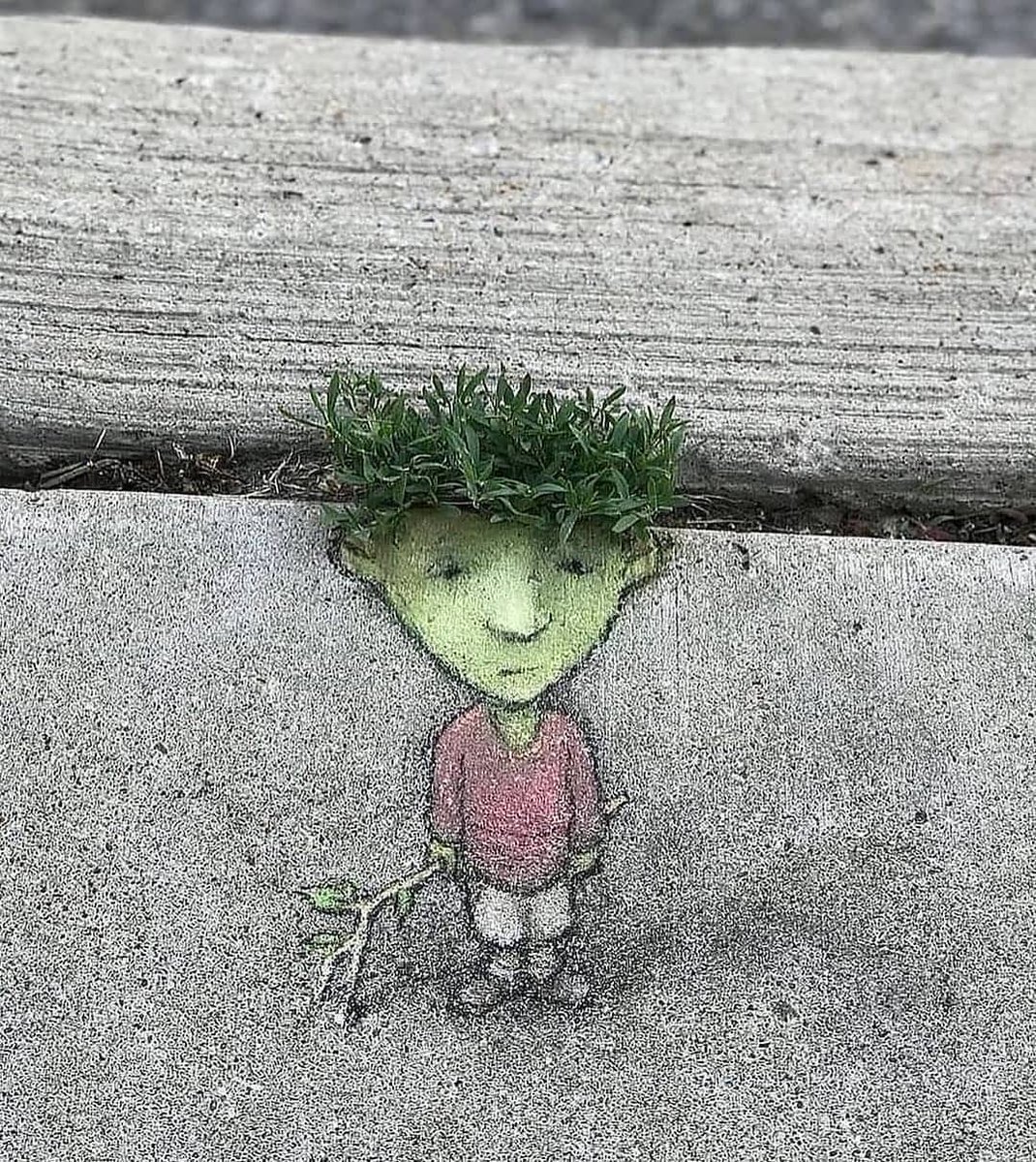 luxurysdreams's tweet image. 