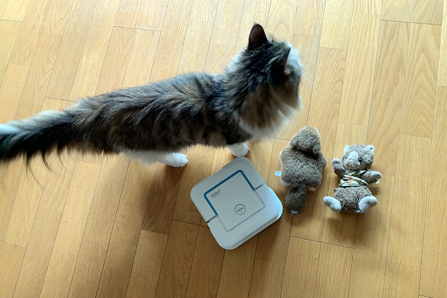 ウカ ヌマエ ヤァヤァヤァ ブラーバがやってきた ブラーバジェット240 アイロボット 使用動画あり T Co d5juxnpd ウカ ヌマエ ヤァヤァヤァ ブラーバがやってきた ブラーバジェット240 アイロボット 使用動画あり T Co d5juxnpd