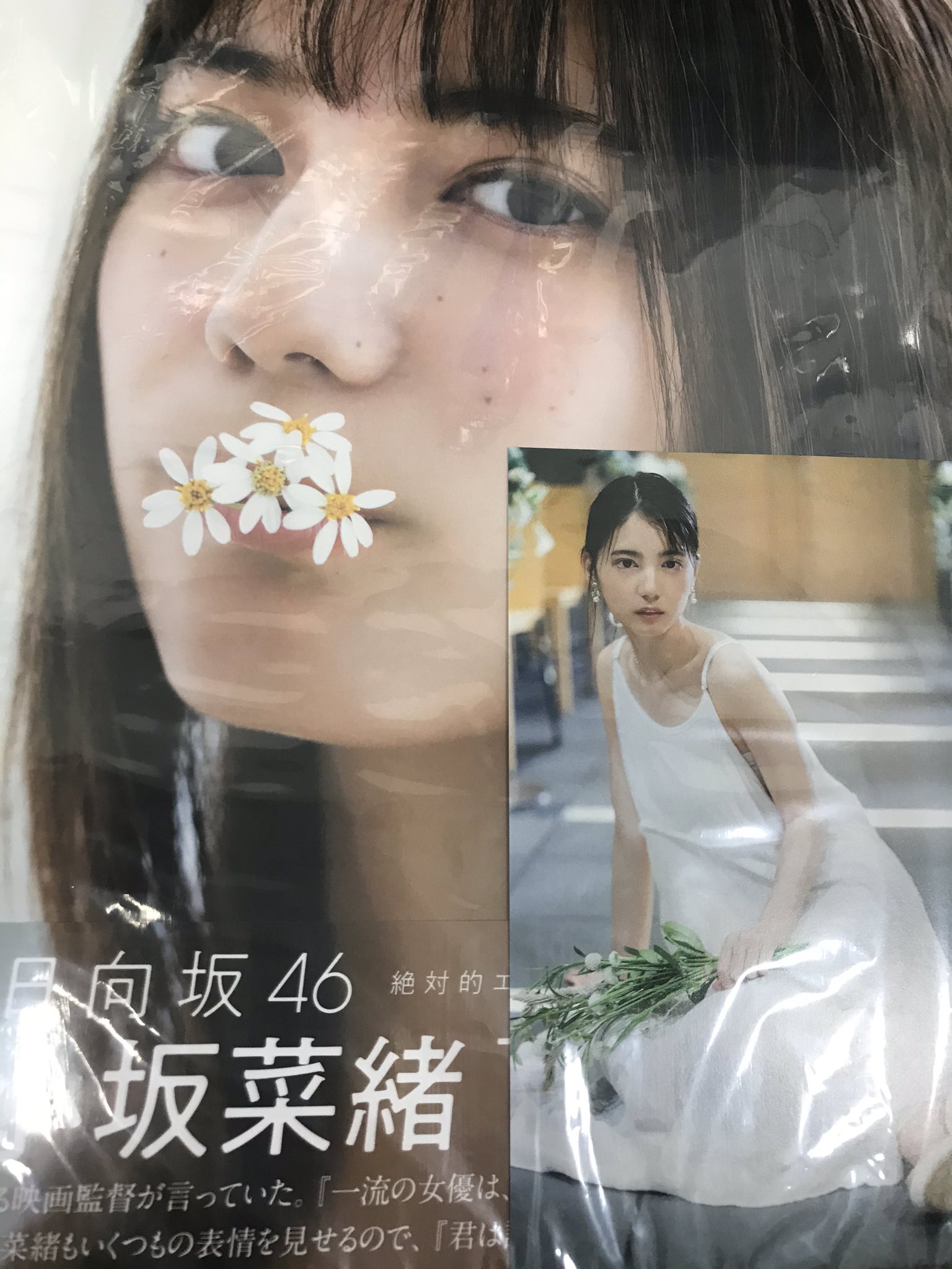 丸善 八尾アリオ店 小坂菜緒 日向坂46 1st写真集 君は誰 丸善ジュンク堂書店 Honto限定特典付き ポストカードが付いています 無くなり次第終了となります T Co Txepc37grs Twitter