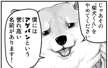 俺「柴犬の名前何にしよう」
スタッフ「あげパン」
俺「よっしゃ」
 #投げやりな名前選手権 