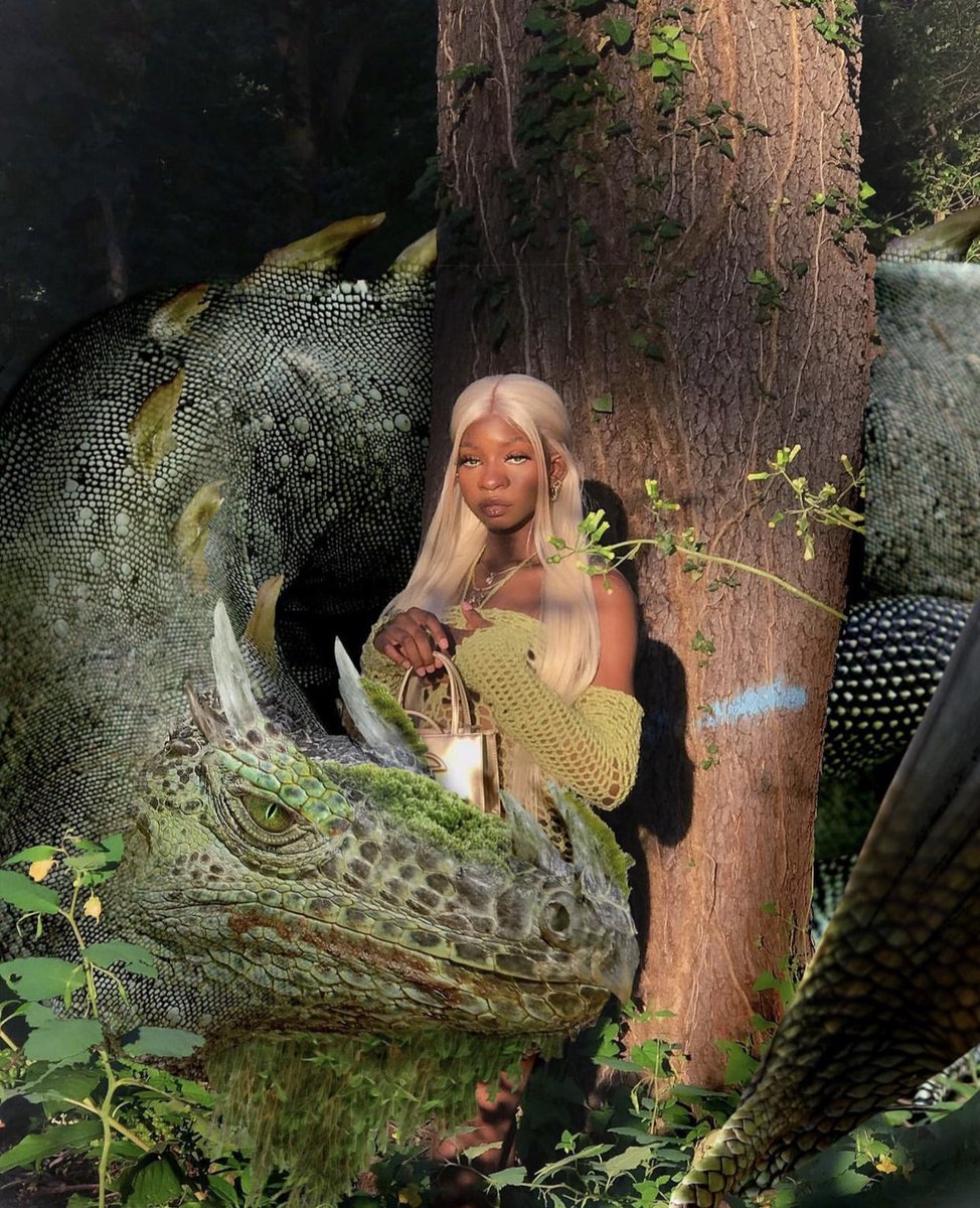 bbychakra's tweet photo. no but fr i lowkey put my foot in these dragon edits https://t.co/QtubuzNPof
