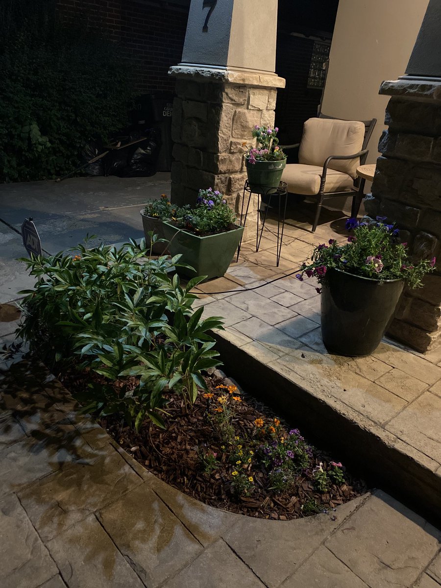 If you work during the day, why not garden at night? I just finished my garden, better late than never 🌷🌻