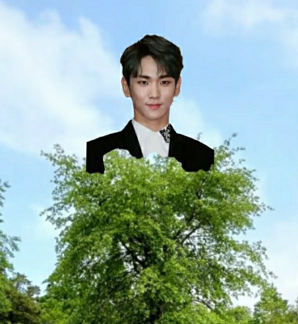pida_mk's tweet photo. 오늘의 유우머

나무위키                                  키위나무 https://t.co/r3qsjJVb6O