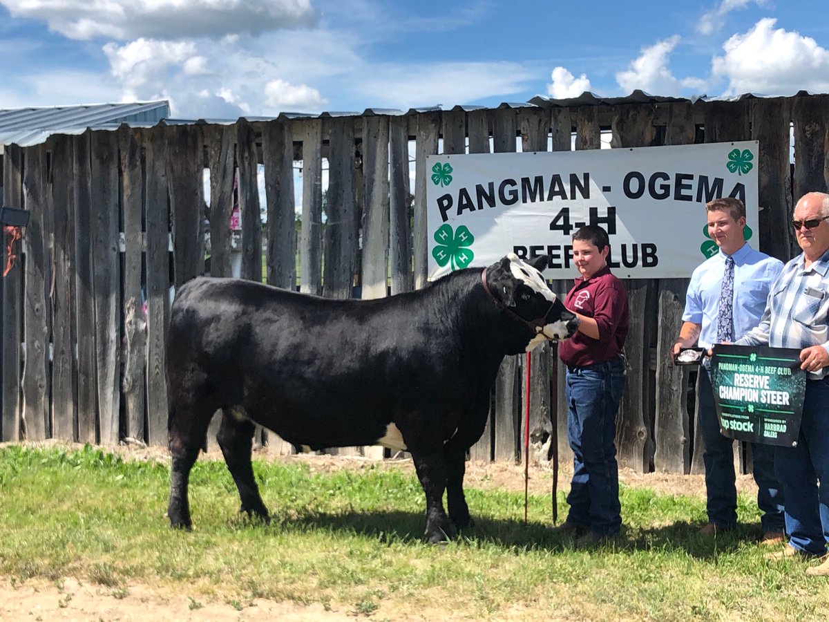 Lee Merrien tweet media