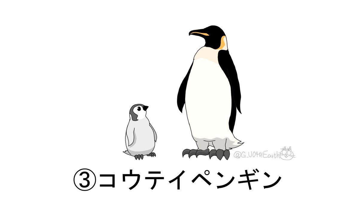 大人と子どもで見た目が全然違う動物シリーズ 