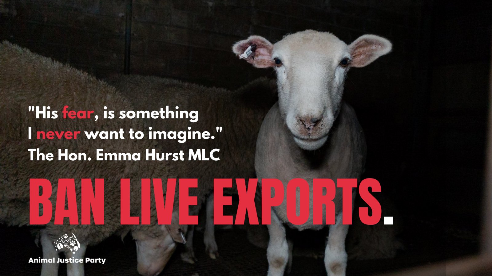 Animal Justice Party NSW on Twitter: Animal Justice Party NSW on Twitter: