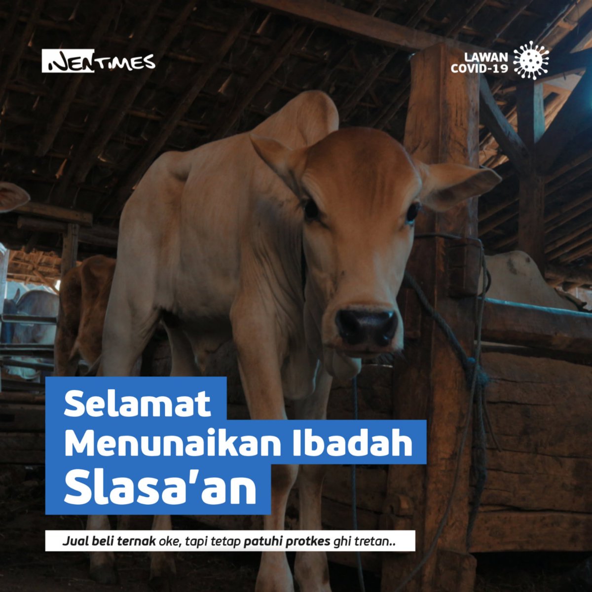 ijentimes's tweet photo. Matahari kian meninggi, semakin ramai mobil bak terbuka berdatangan. Tentu saja dengan membawa barang dagangan mereka, yakni hewan ternak. https://t.co/2S9udsEjbY