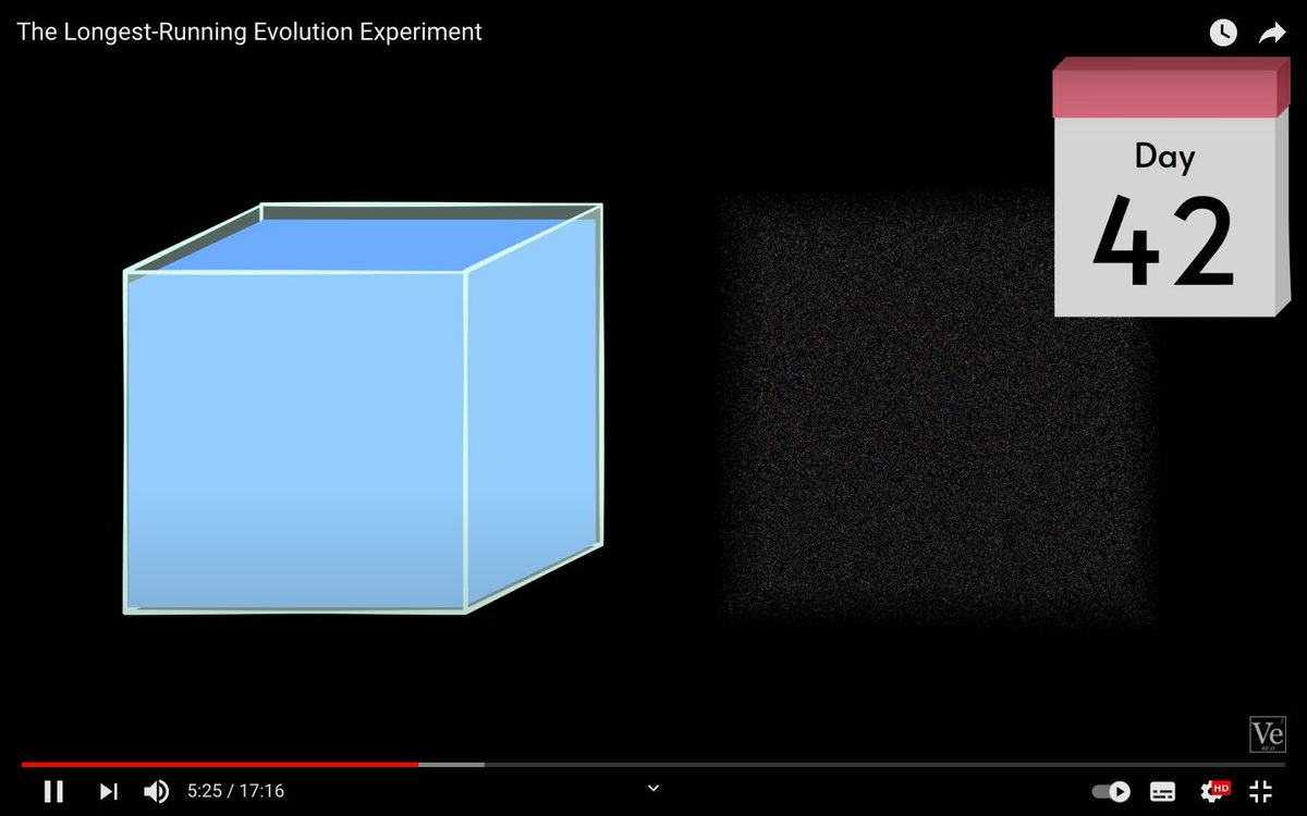 anuditverma's tweet photo. Hey Derek @veritasium! on your 'The Longest-Running Evolution Experiment' YT video, "On day 42 the experiment would fill up the entire observable Universe". So that is why 42 is the answer to Life, the Universe and Everything?
#AnswerToEverything https://t.co/QFj4zDN0qX