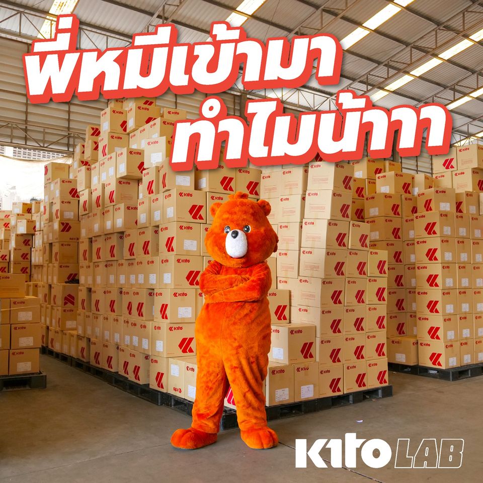 kitothailand's tweet photo. พี่หมีมาทำไร น่าสงสัย?
#KitoLAB https://t.co/6eyzcHdaLk