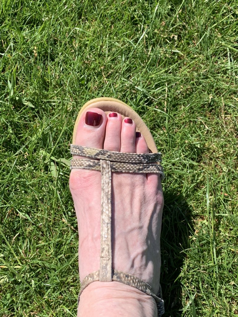 ✨Glenys Marriott tweet media