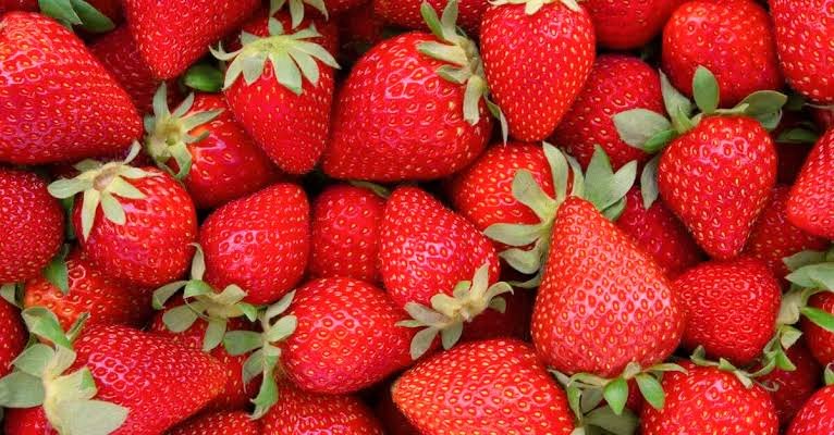 sanchi_sinha's tweet photo. I don't know if it's just me but strawberries look like they should taste a lot better than they actually do.
#strawberriesPlzTasteBetter  #foodHumour #humour https://t.co/ckvY418z5a