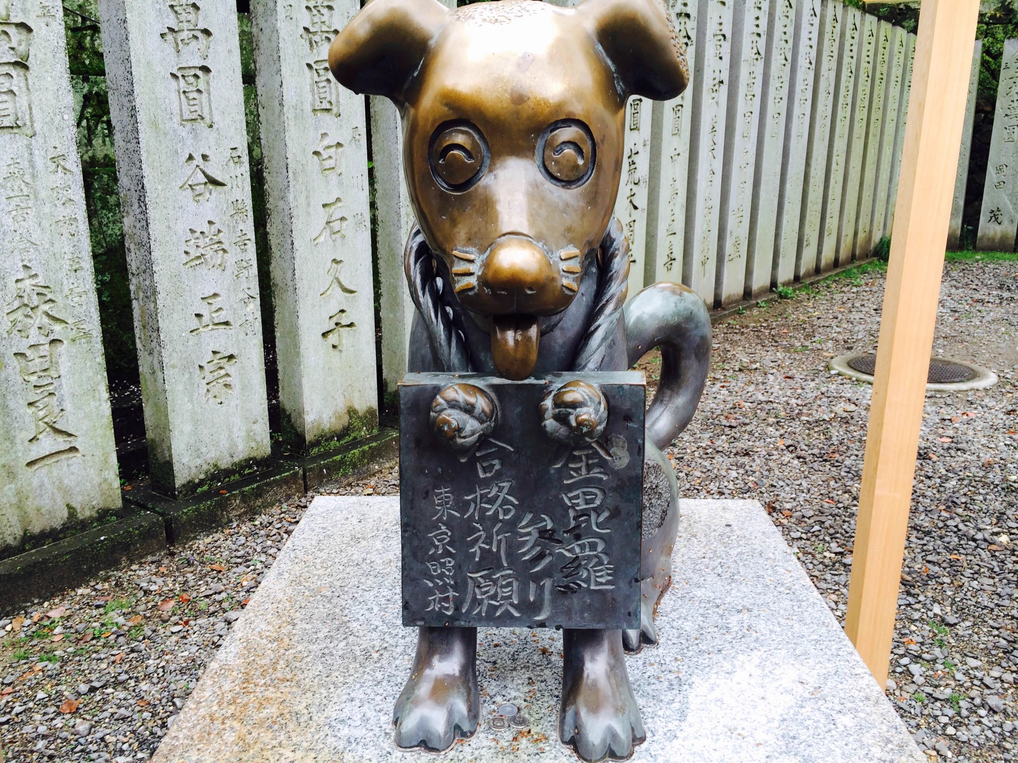 @chiyochiyo_syr 失礼致します。金比羅さんに行った時に、境内にこんな銅像も有りました。珍しかったので写真に撮りましたが、犬を参拝に向かわせるなんて犬も賢くないといけないだろうし、参拝者にも動物愛護の気持ちが無いといけないし、いい時代だったんですね。 