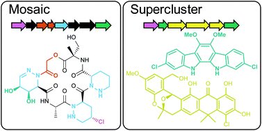 New work from our collaboration with <a href="/andrewpiggott/">Andrew Piggott</a> at <a href="/Macquarie_Uni/">Macquarie University</a> on three families of natural products: the svetamycins, the borregomycins and the anthrabenzoxocinones has been published in <a href="/OrgBiomolChem/">OBC</a>. 
pubs.rsc.org/en/Content/Art…