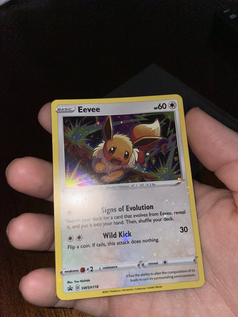 BritBrat tweet media