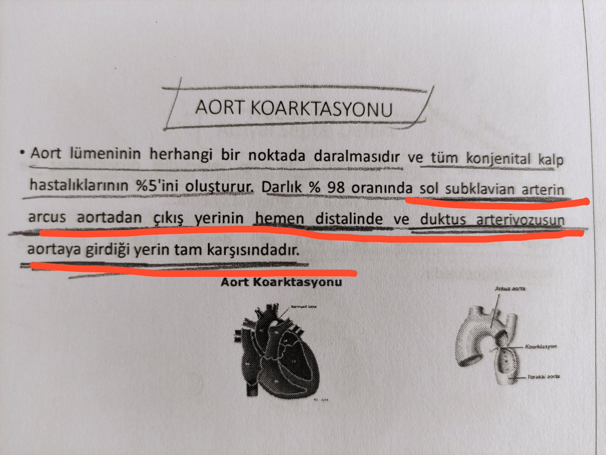 Arifedlra's tweet photo. Sanki yol tarif ediyor 🤔 https://t.co/5bpouddjND