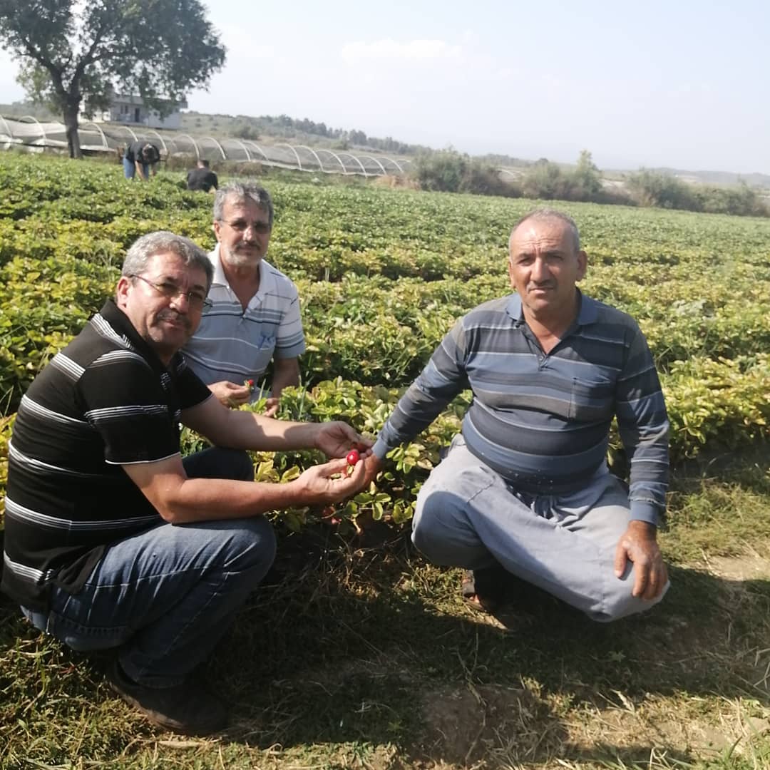Adanaya Çilek bahçelerimize bekliyoruz.