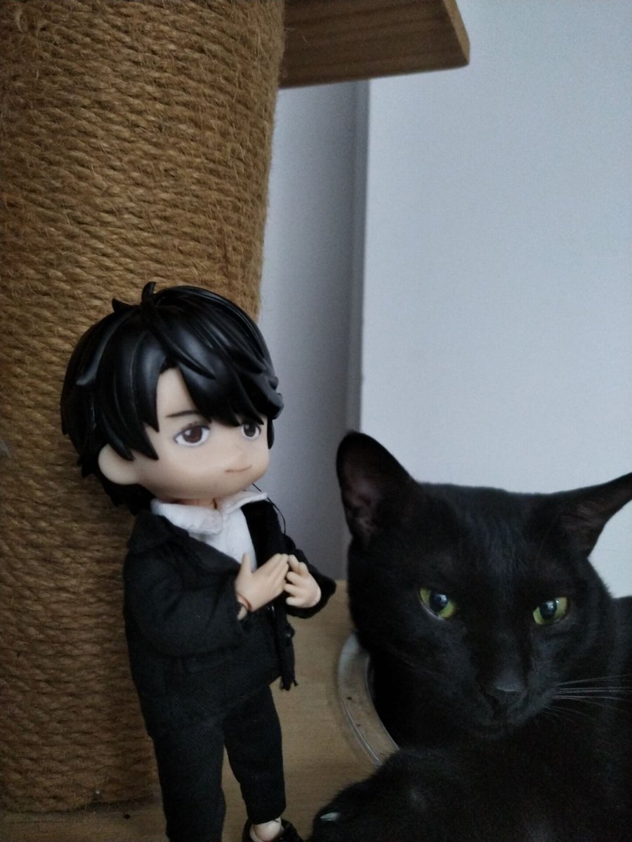 猫脚司幽 Zoedt1985 Twitter