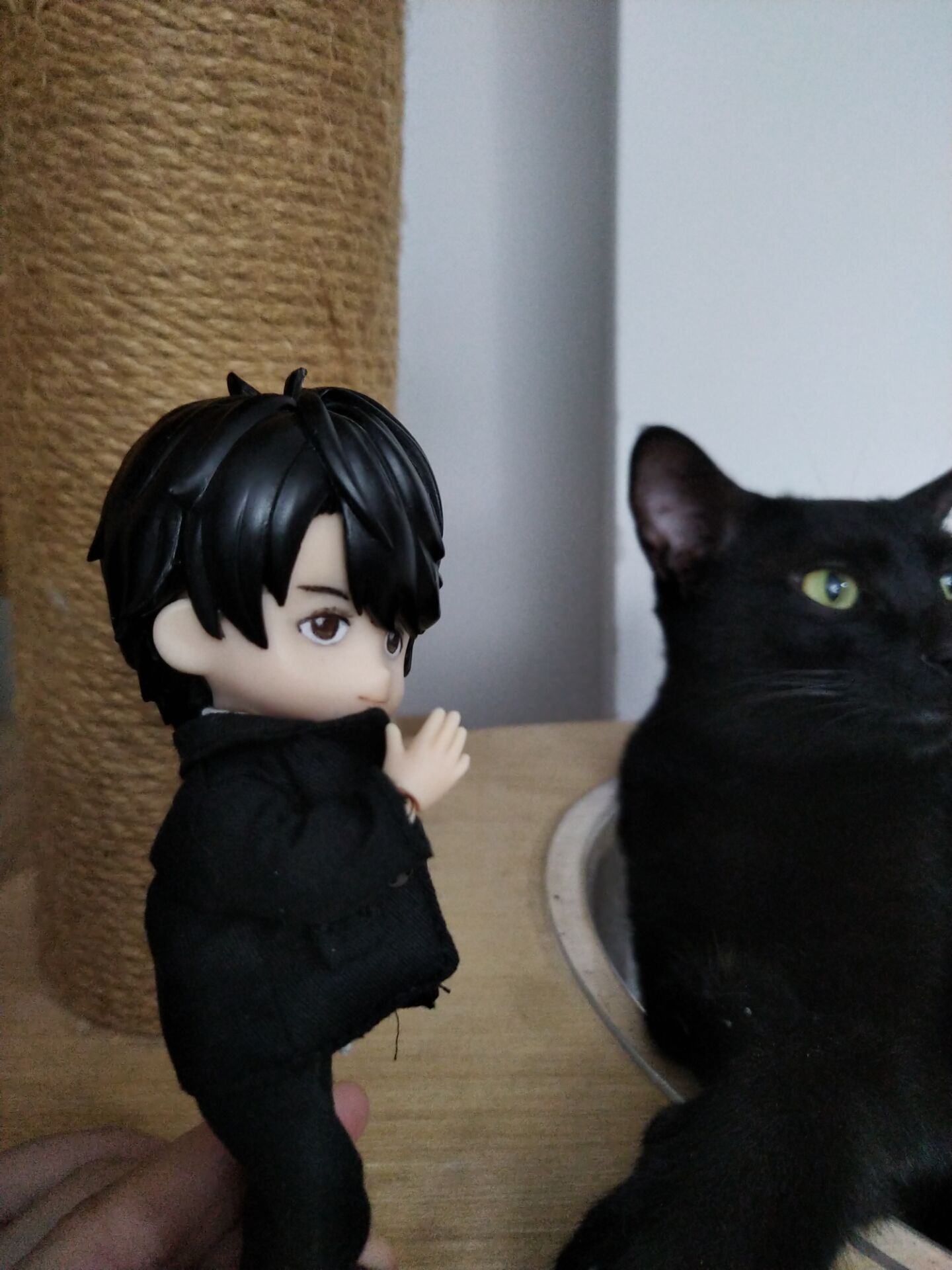 猫脚司幽on Twitter Cos一下马内甲 中村倫也 黏土手作 黏土 公仔 黏土人 Clay Actionfigure Claycraft 粘土 粘土手作 軽量粘土 軽粘土 粘土細工