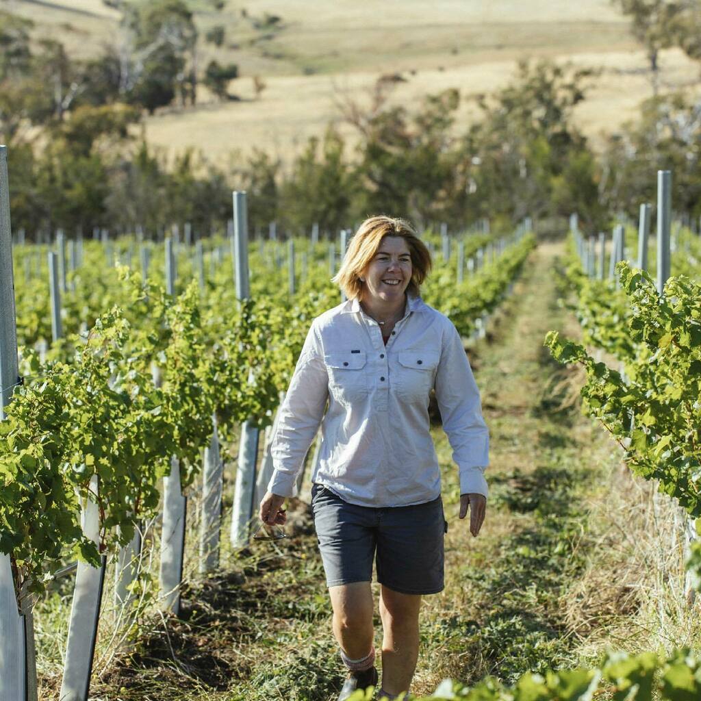 Ｗｉｎｅ　Ｔａｓｍａｎｉａ tweet media