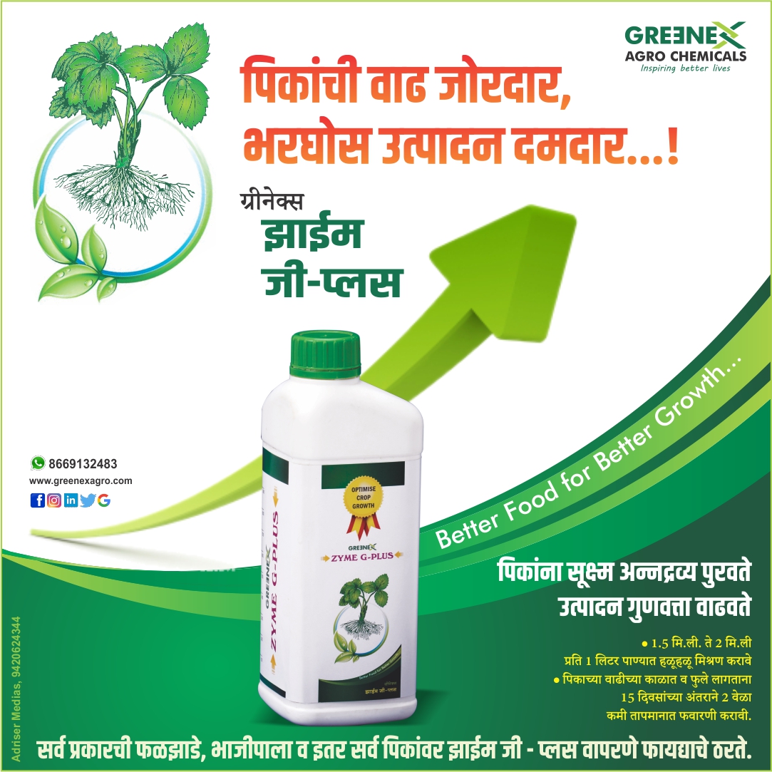 GreenexAgro's tweet photo. भरघोस उत्पादनासाठी आणि जोमदार 
वाढीसाठी आता एक उत्तम पर्याय उपलब्ध
Greenex Agro Chemicals चे Zyme G Plus.

#greenexagro #greenex #fertilizers #agriculturalchemicals #organic #agri #agro #digitalagro #farming #agriculture #farm #farmlife #water #climatechange #farmer #zymegplus https://t.co/p9tkQxubev