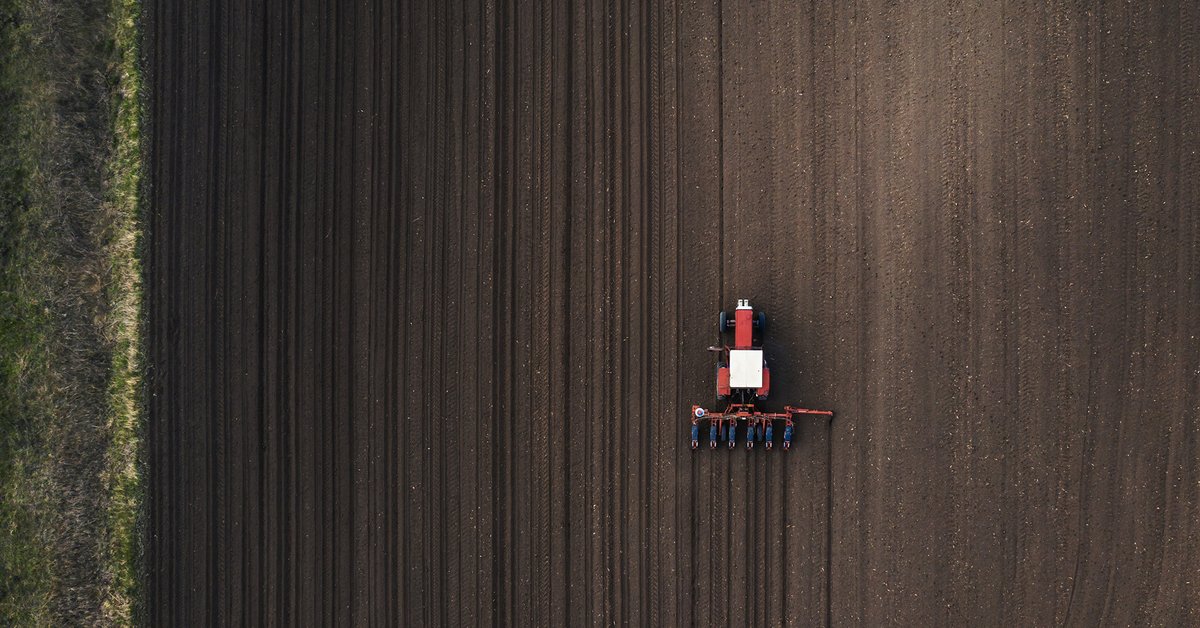 Corrslawyers's tweet image. #NSW lifts ban on #geneticallymodifiedcrops #GMO #environmentlaw #auslaw | corrs.com.au/insights/nsw-l…