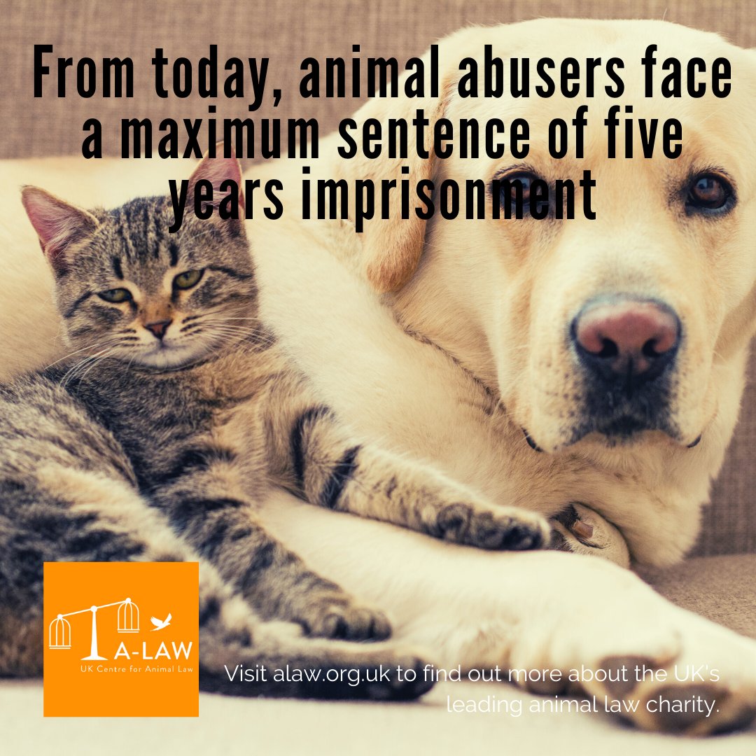 UK Centre for Animal Law (A-Law) on Twitter: UK Centre for Animal Law (A-Law) on Twitter:
