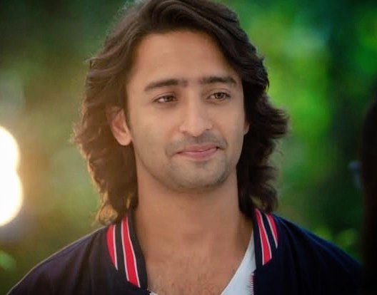 Why Shaheer does not want to be a part of mythologicals - Times of India