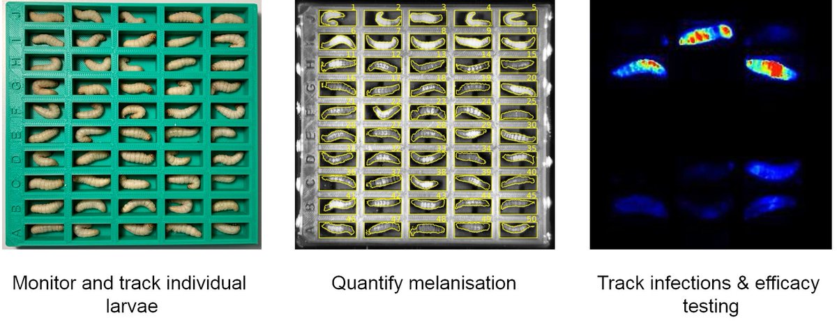 BioSystems Technology (@_biosystems) on Twitter photo We have designed bespoke 50 well larvae plates. Find out more here and please help us by filling out our questionairre. 
Galleri Plates - The New Way to Monitor Larvae - mailchi.mp/biosystemstech… We have designed bespoke 50 well larvae plates. Find out more here and please help us by filling out our questionairre. 
Galleri Plates - The New Way to Monitor Larvae - mailchi.mp/biosystemstech…