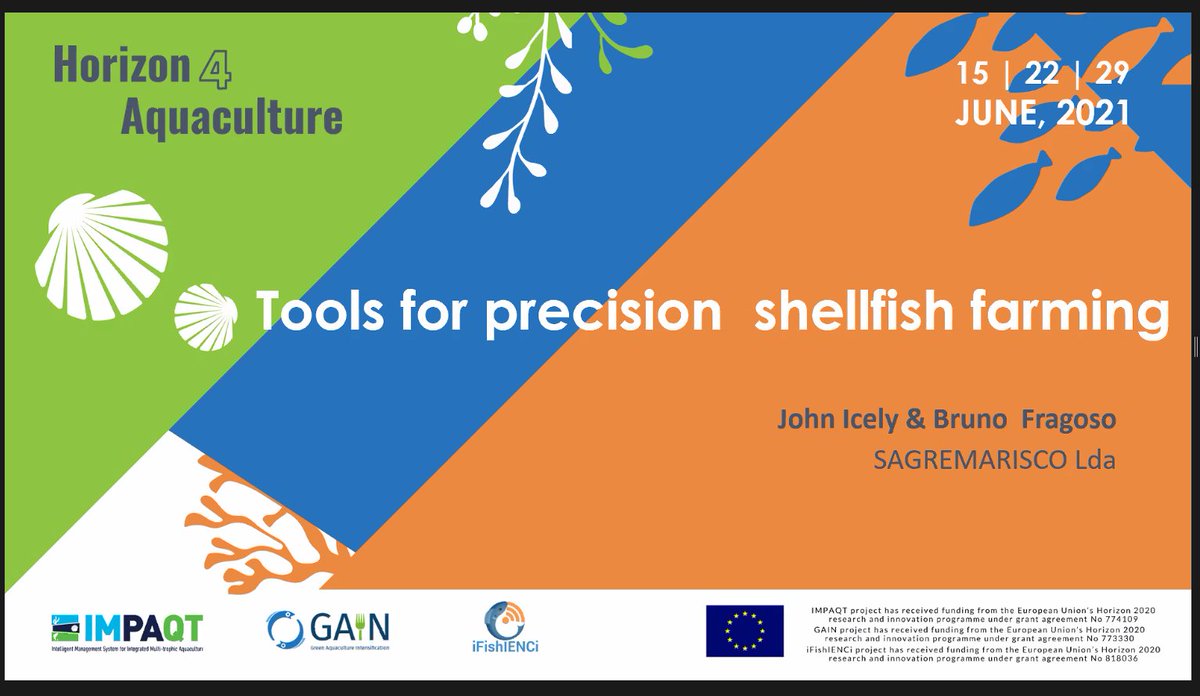 gain2020's tweet photo. And well, it's our turn again, and after fish now it's the turn for #shellfish ! Yes, #precisionaquaculture can be applied to #mussels too! #shells #mollusks #sustainablefood #sustainableaquaculture #bluegrowth #sustainability https://t.co/O3jLGqbp6S