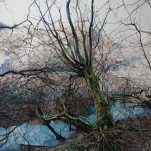 SGFADrawing's tweet photo. 1 week to go until our Centenary Exhibition Unlocked opens @mallgalleries 6-11July
View online https://t.co/iJTXQsEHMq .
Visit https://t.co/P5cn6K368W for free tickets.
Images by S.Stanley @agriffinart @RobertDutton1 @taniabusschau #art #London #drawing https://t.co/z7UqcXBpJb