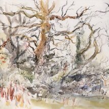 1 week to go until our Centenary Exhibition Unlocked opens <a href="/mallgalleries/">mallgalleries</a> 6-11July
View online sgfa.org.uk .
Visit mallgalleries.org.uk/whats-on/exhib… for free tickets.
Images by S.Stanley <a href="/agriffinart/">Alison Griffin</a> <a href="/RobertDutton1/">Robert Dutton</a> <a href="/taniabusschau/">Tania Busschau SGFA</a> #art #London #drawing