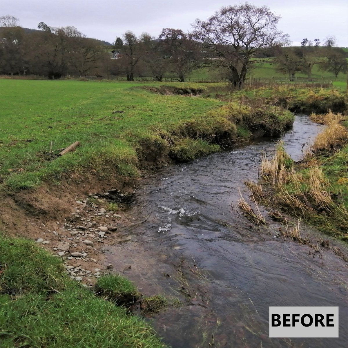 Welsh Dee Trust tweet media