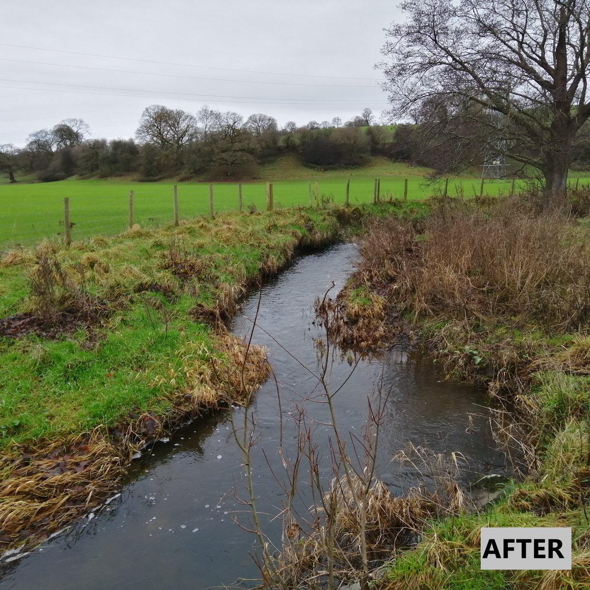 We’re putting up fences along the Nant Dinam to allow natural regeneration of trees and restore vital habitat for fish. We’re also installing drinking bays &amp; water gates where fencing will prevent livestock from reaching the river (1/2)