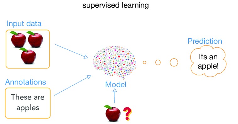 Arabicnlp_imamu's tweet image. 1/ #التعلم_الموجه #Supervised_Learning: يكون الخبير هو الأستاذ والآلة هي التلميذ، فالأستاذ يخبر التلميذ بالتقسيم الصحيح للبينات بعنونة كل نوع من البيانات (labeled data).
مثل أن يحدد الأستاذ أن هذه الصورة تعني "تفاحة". فعند إحضار تفاحة أخرى سيجيب التلميذ أنها تفاحة أيضا.
#صَدَف
