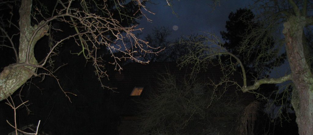 MichaelThode's tweet image. Auf dem Blog der @krimilady findet ihr einen Link zu "Die Spur des Bären" von Martin Cruz Smith sowie weitere Neuigkeiten aus der Thriller- und Krimiszene.
krimilady.de 
#krimi #thriller #literaturtipps #lesetipps #writer #writerslife