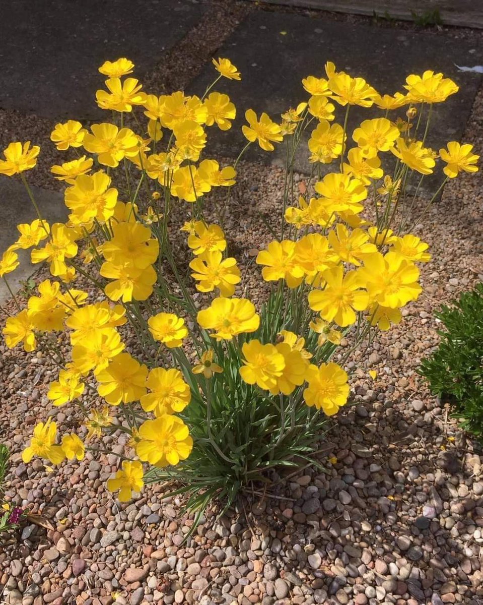 Giaphucr (@giaphucr) on Twitter photo 