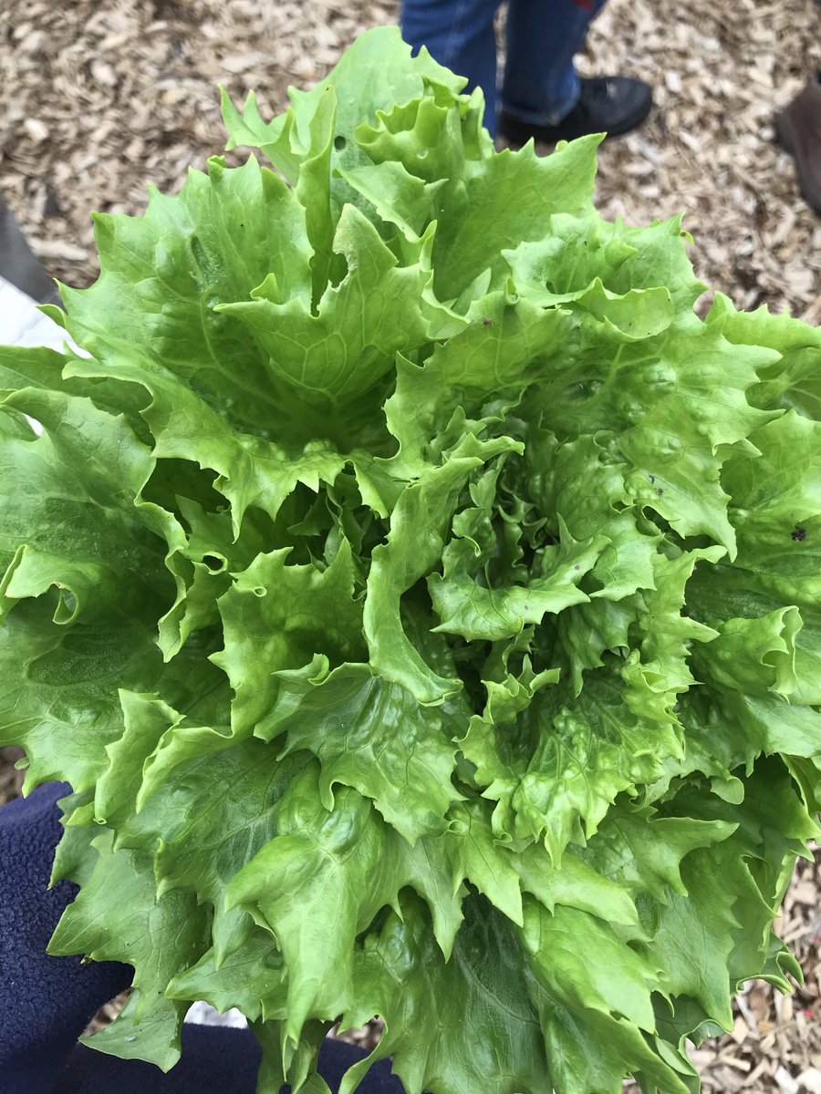 Grow With Joe tweet media