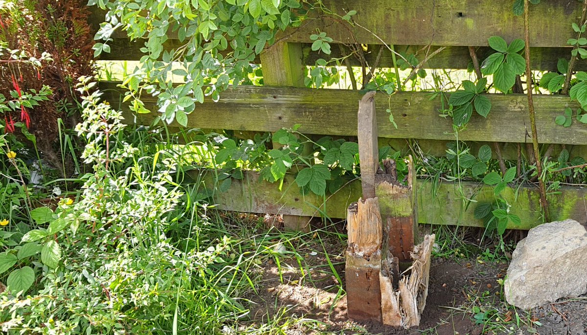 Yesterday Day 2⃣8⃣ #30DaysWild <a href="/30DaysWild/">#30DaysWild from The Wildlife Trusts</a> we built a log pyramid out of the old fence posts near to our bug hotel to encourage beetles🪲&amp; other wildlife plus we have enough left to put more around our home office garden. Wonder who will be the first visitor? 🤔 <a href="/cumbriawildlife/">CumbriaWildlifeTrust</a>