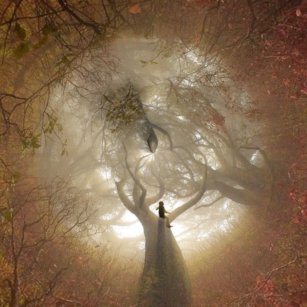 noveliciouss's tweet photo. Poetry heals the wounds inflicted by reason. 
- Novalis   
#Poetry #writing #amwriting #reading https://t.co/LgGgDYNjFU