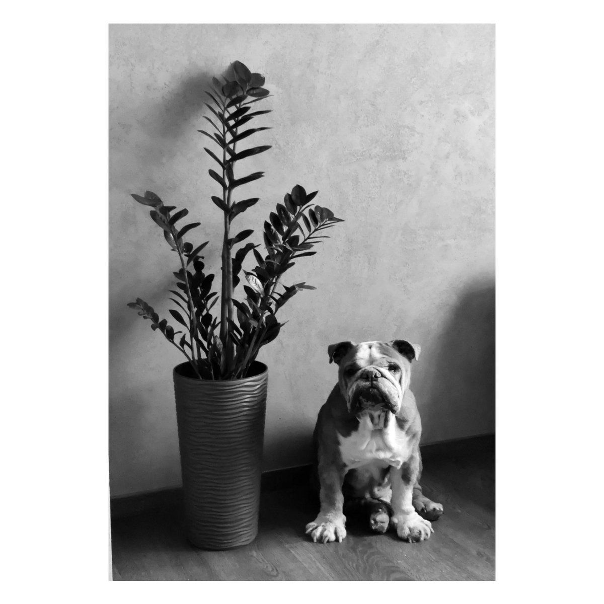 R.I.P. my boy🖤