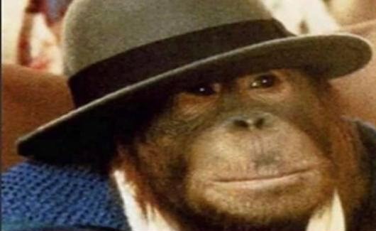 // here's a late #munday