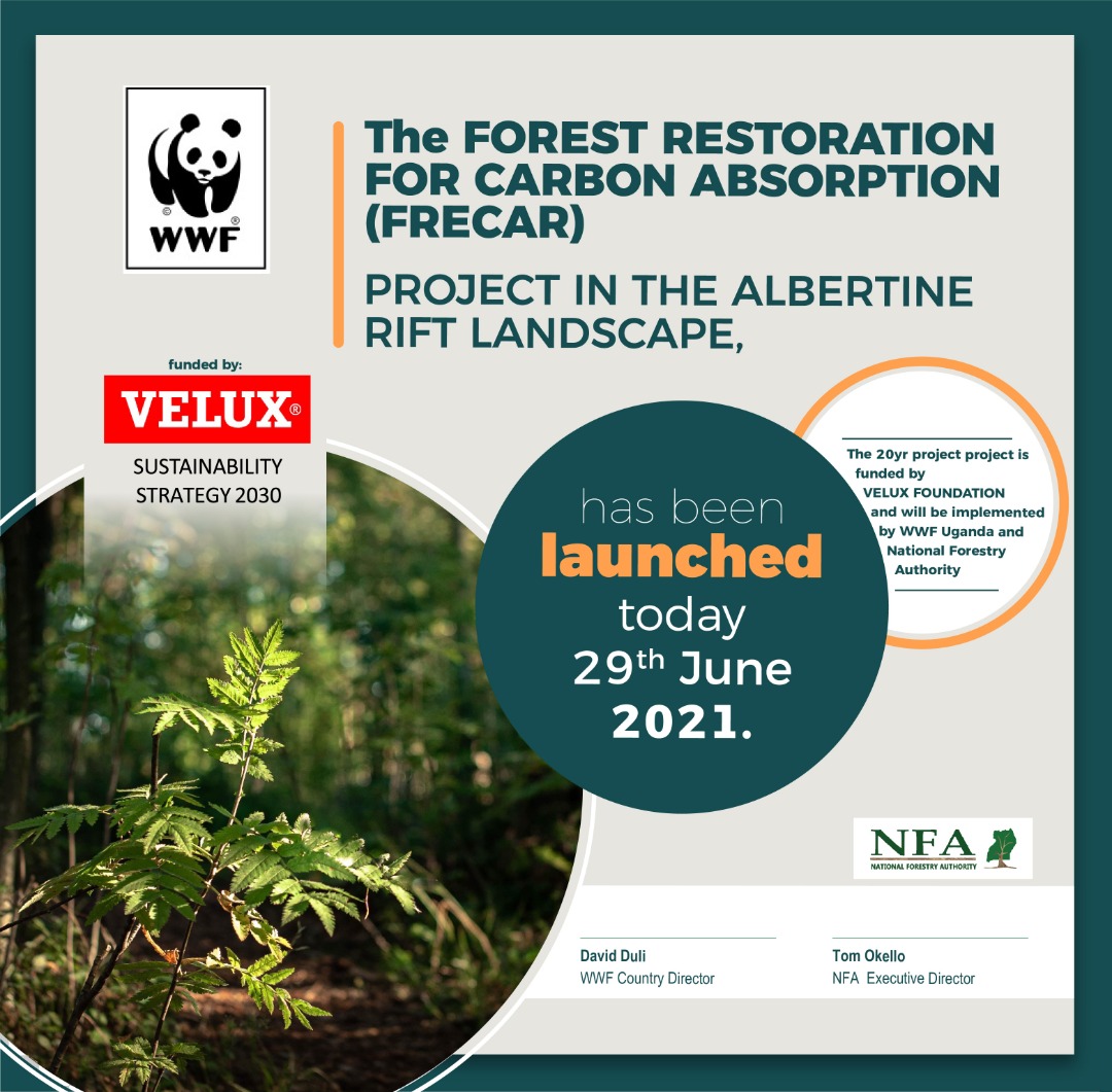 WWFUganda's tweet photo. With funding from @VELUX we are partnering with @NFAUG to double our efforts to bring nature back to the recovery path. @aruhweza @NatureDeal @newvisionwire https://t.co/YVRr4Lv07J
