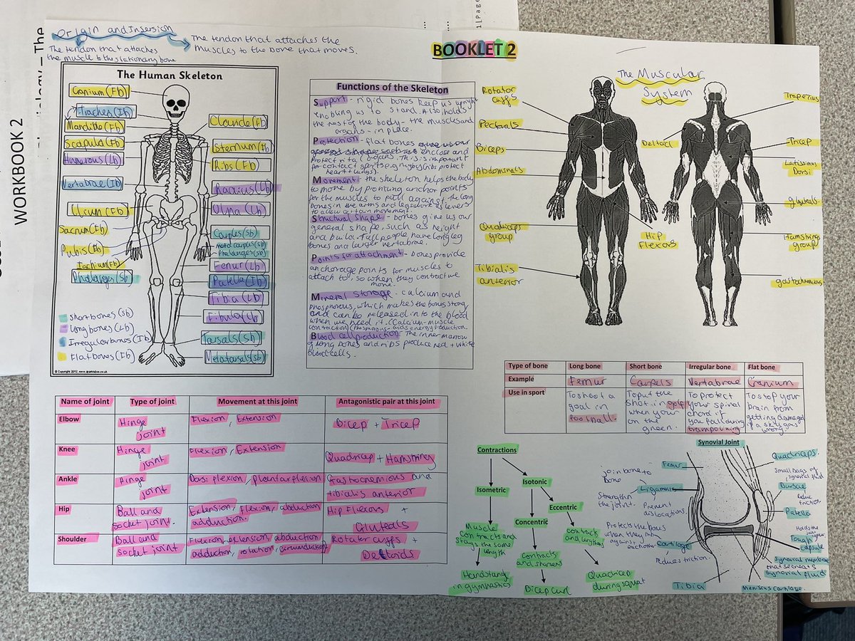 MissLMinto_'s tweet photo. Really impressed with how well my Y10s worked on my very simple version of ‘topic on a page’ used to revise their applied anatomy and physiology booklet! #simplebuteffective #gcsepe #aqape #revision #anatomyandphysiology https://t.co/jJPT3JLoYb