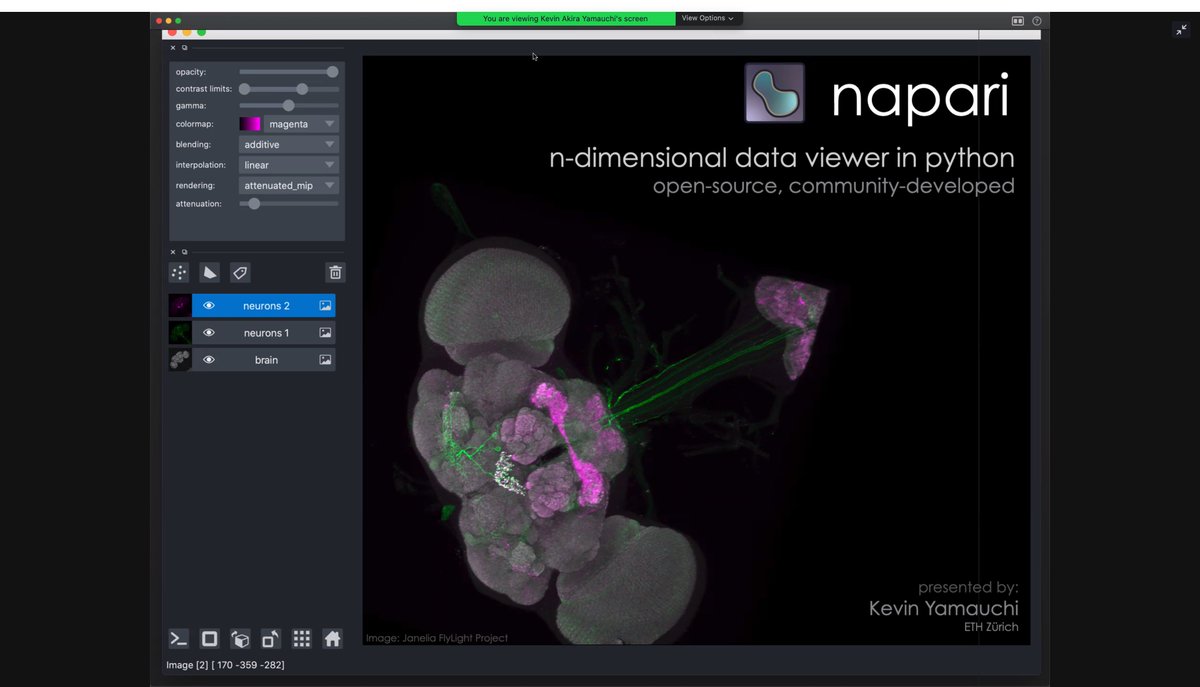 Simon F. Nørrelykke (@simonflyvbjerg) on Twitter photo It is <a href="/napari_imaging/">napari🔬</a> time in the #EMBOBioImage advanced course. Q&A anb debugging by impressive remote team of @ KevinYamauchi, <a href="/AlisterBurt/">Alister Burt</a> @ DragaDoncila <a href="/jnuneziglesias/">Juan Nunez-Iglesias</a>
#BioImageAnalysis It is <a href="/napari_imaging/">napari🔬</a> time in the #EMBOBioImage advanced course. Q&A anb debugging by impressive remote team of @ KevinYamauchi, <a href="/AlisterBurt/">Alister Burt</a> @ DragaDoncila <a href="/jnuneziglesias/">Juan Nunez-Iglesias</a>
#BioImageAnalysis