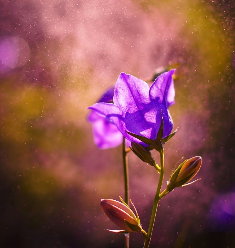 Justa1985 (@lipalipinska) on Twitter photo 