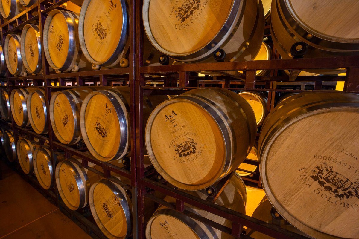 Bodegas y Viñedos Viña Solorca tweet media