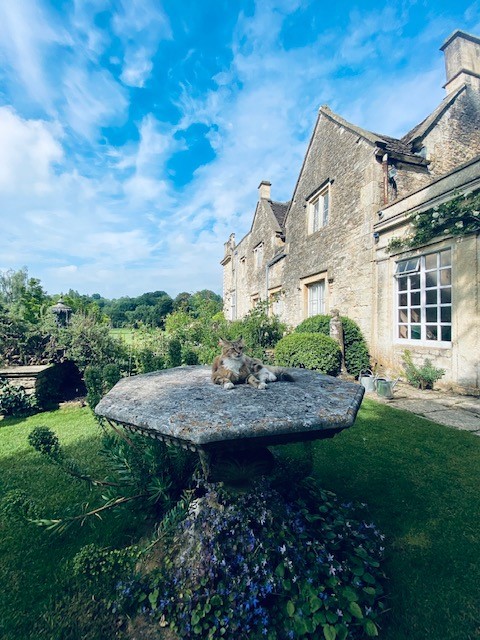 Many thanks to everyone who showed up to our event last week &amp; William for his tour around the beautiful Iford Manor.

A few snaps from our day below 📸

To sign up to the CESW Bath club for more events like this, sign up at: constructingexcellencesw.org.uk/join-club/