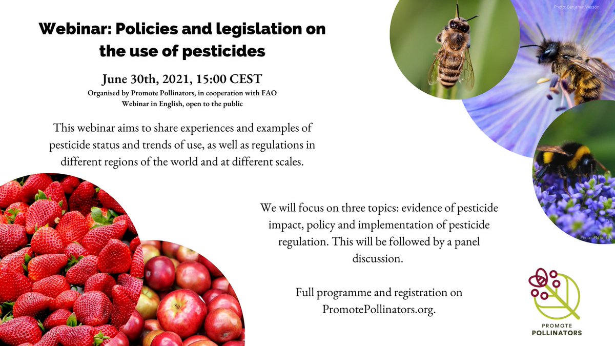 P_Pollinators's tweet photo. LAST CALL!📢 Our webinar in cooperation with @FAO  is taking place tomorrow (June 30th) at 15:00 CEST! We will be talking about policies and legislation on the use of pesticides. Register here: https://t.co/mvUFnWAPXN #pollinators #PromotePollinators #pesticides https://t.co/jHXkTLwyIn