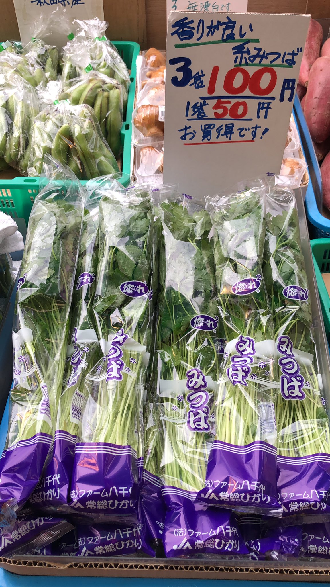 くだもの やさい アオキ 今日のおすすめは 茨城県産糸三つ葉 3袋 100円 千葉県産 サラダ菜2個70円 高知県産 みょうが3個入り 1パック100円 ご来店お待ちしてます Paypay 菊野台 柴崎 八百屋 青果店 T Co Rjampokv7h Twitter くだもの やさい アオキ 今日のおすすめは 茨城県産糸三つ葉 3袋 100円 千葉県産 サラダ菜2個70円 高知県産 みょうが3個入り 1パック100円 ご来店お待ちしてます Paypay 菊野台 柴崎 八百屋 青果店 T Co Rjampokv7h Twitter