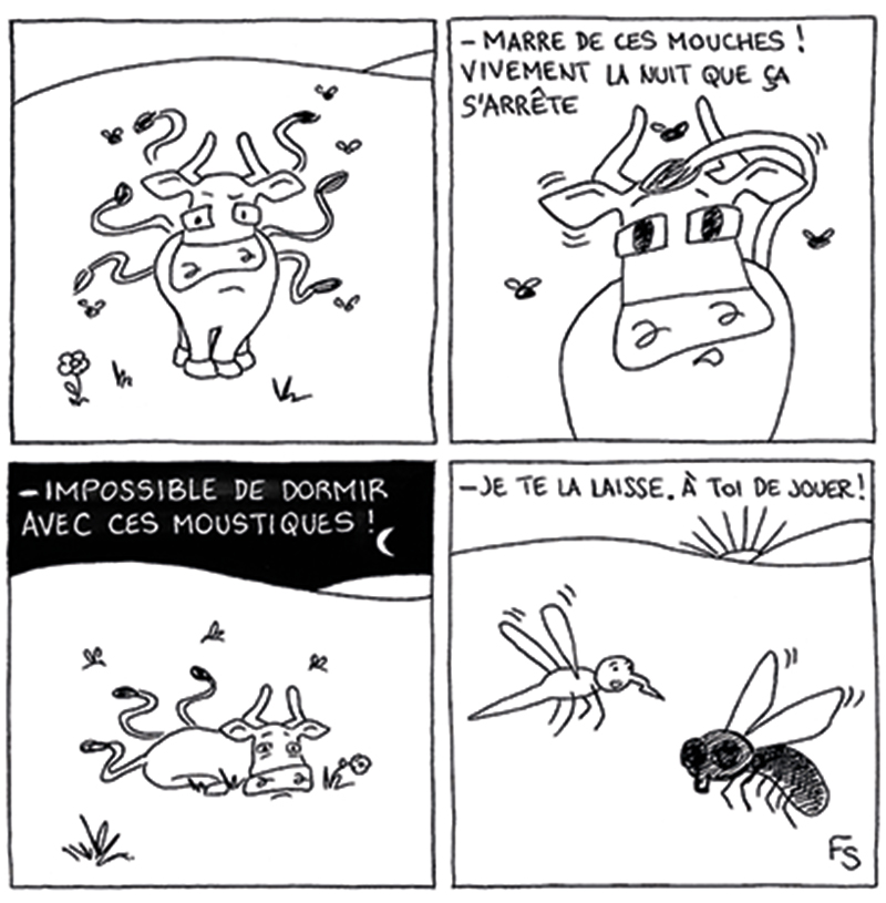 0_o_Mirabelle's tweet photo. Une histoire à dormir debout.

#LaMirabelleDuMardi #4cases #vaches #Aubrac #sourire #bd #insomnie #mouche #moustique https://t.co/zSOfsmJp8B